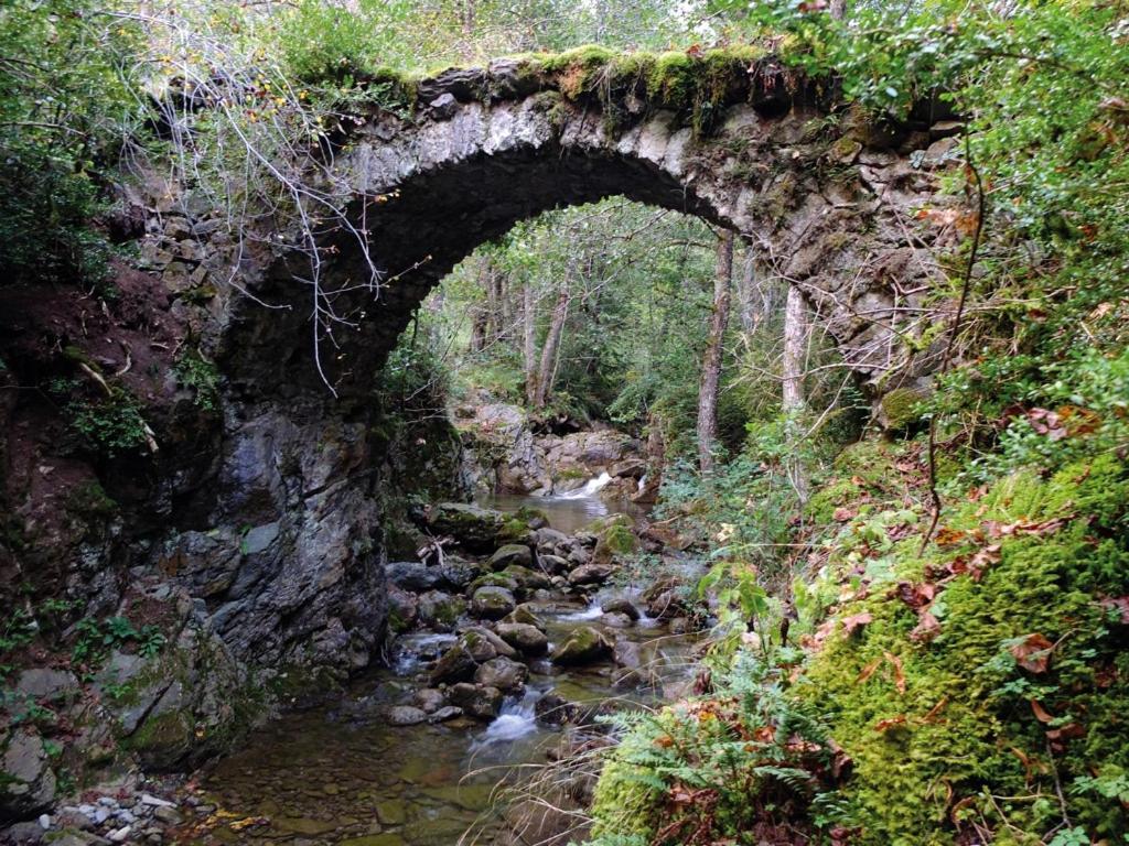 Vila Cal Sansa Cava Exteriér fotografie